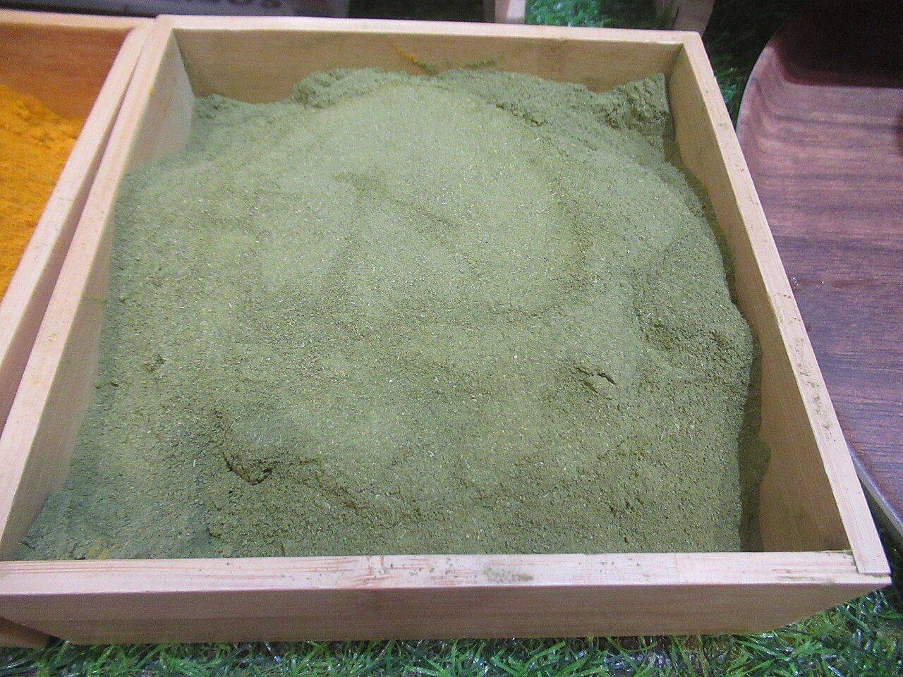 Bright green Moringa oleifera leaf powder