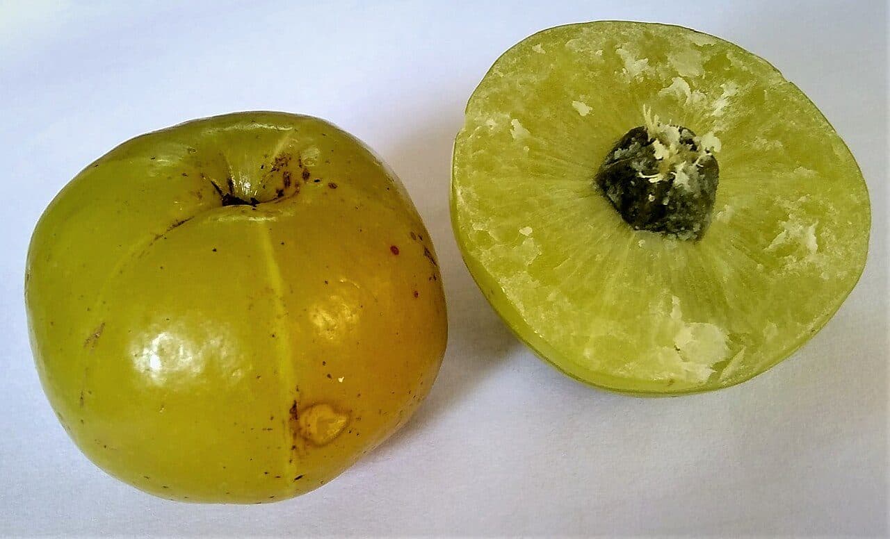 A whole Amla fruit and its cross-section